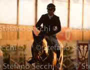 xx FZ TosTour2013- S5 3146 : Arezzo, Arezzo Equestrian Centre, Cavalli d'Italia, Toscana Tour 2013, foto di Stefano Secchi ©, xx FZ